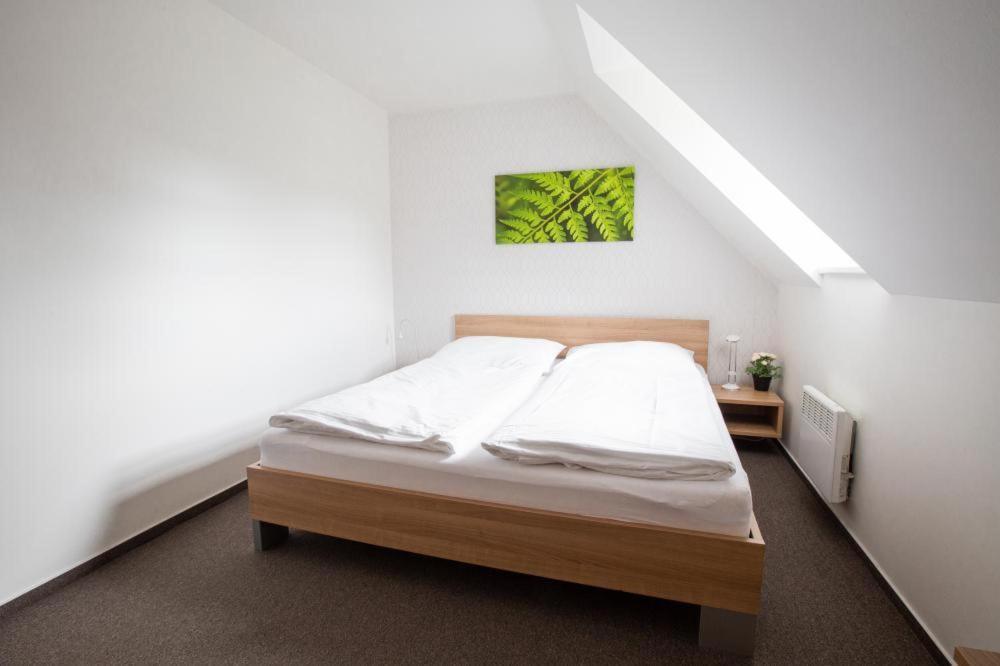 Wellness Ricky (Hradec Kralove)